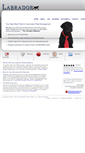 Mobile Screenshot of labradorsolutions.com